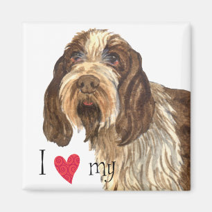 I Liebe mein Spinone Italiano Magnet