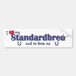 I Liebe mein Standardbred (männliches Pferd) Autoaufkleber