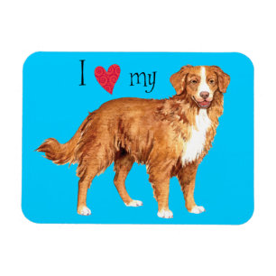 I Liebe mein Toller Magnet
