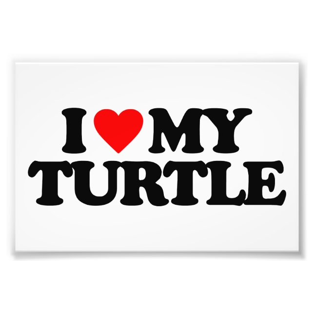 I LIEBE MEIN TURTLE FOTODRUCK (Vorne)