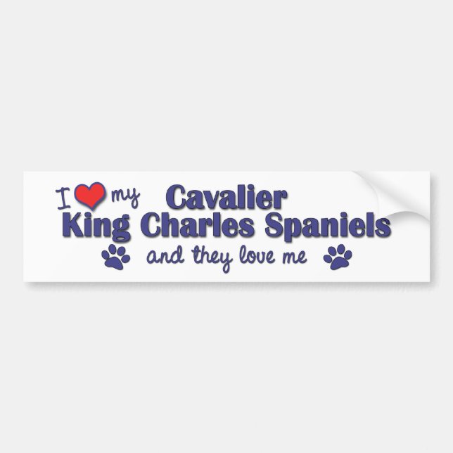 I Liebe mein unbekümmerter König Charles Autoaufkleber (Vorne)