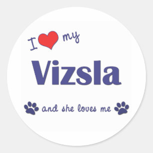 I Liebe Mein Vizsla (Weiblicher Hund) Runder Aufkleber