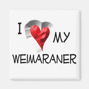 I Liebe mein Weimaraner Magnet