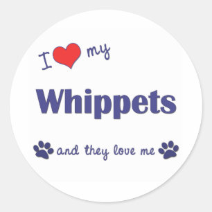 I Liebe mein Whippets (mehrfache Hunde) Runder Aufkleber