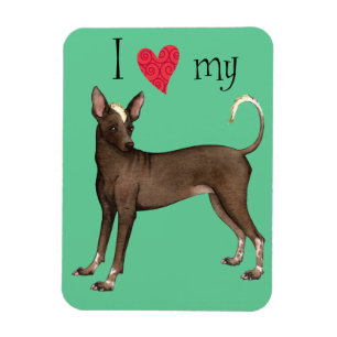 I Liebe mein Xolo Magnet
