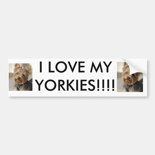 I LIEBE MEIN YORKIES!!!! AUTOAUFKLEBER (Vorne)