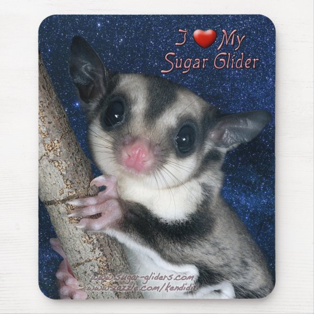 I Liebe mein Zuckersegelflugzeug - niedlichste Mousepad (Vorne)