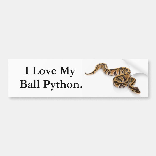 I Liebe meine Ball-Pythonschlange Autoaufkleber (Vorne)