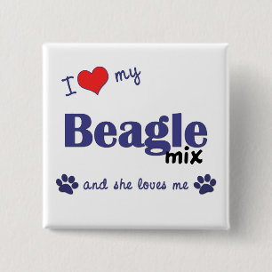I Liebe meine Beagle-Mischung (weiblicher Hund) Button