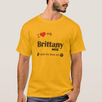 I Liebe meine Bretagne-Mischung (weiblicher Hund)