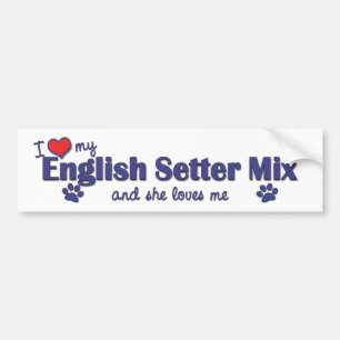 I Liebe meine englischer Setzer-Mischung Autoaufkleber