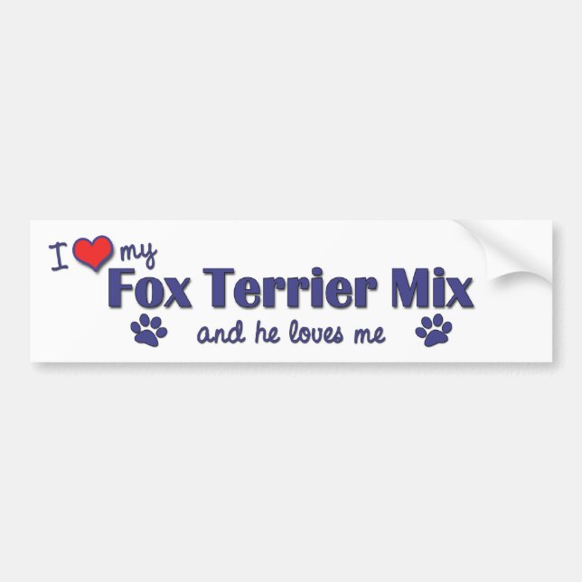 I Liebe meine Fox-Terrier-Mischung (männlicher Autoaufkleber (Vorne)