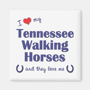 I Liebe meine gehenden Pferde Tennessees (multi Magnet