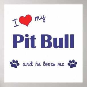 I Liebe meine Grube Stier (männlicher Hund) Poster