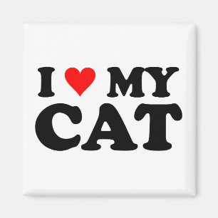 I Liebe meine Katze Magnet