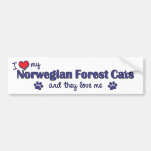 I Liebe meine norwegischen Waldkatzen (mehrfache Autoaufkleber