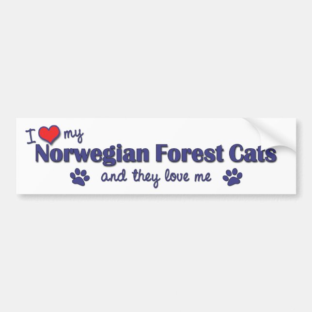 I Liebe meine norwegischen Waldkatzen (mehrfache Autoaufkleber (Vorne)
