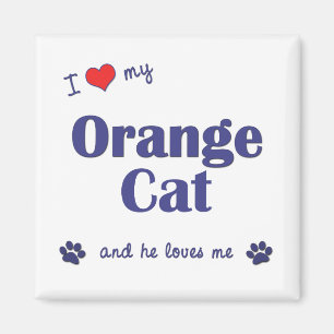 I Liebe meine orange Katze (männliche Katze) Magnet