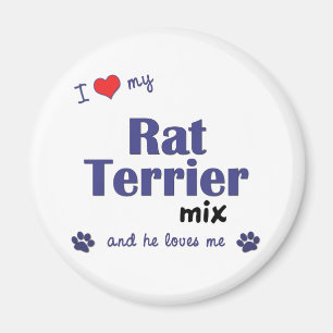 I Liebe meine Ratten-Terrier-Mischung (männlicher Magnet