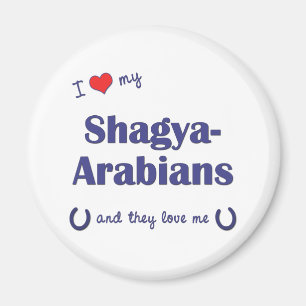I Liebe meine Shagya-Araber (mehrfache Pferde) Magnet