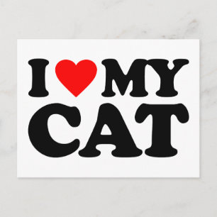 I LIEBE MEINER KATZE POSTKARTE