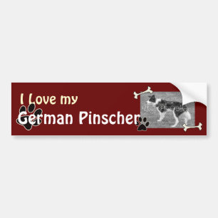 I Liebe meines deutschen Pinscher-Autoaufklebers Autoaufkleber