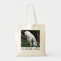 I Liebe meines Goffins Cockatoo (Tanimbar Corella)