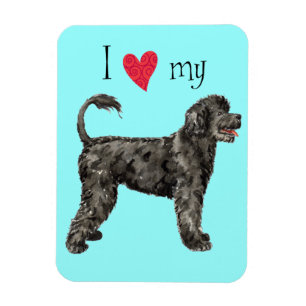I Liebe meines PWD Magnet