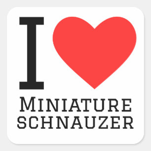 I Liebe Miniatur Schnauzer Quadratischer Aufkleber