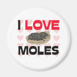 I Liebe-Molen Magnet