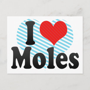 I Liebe Moles Postkarte