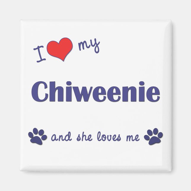 I Liebe My Chiweenie (Weiblicher Hund) Magnet (Vorne)