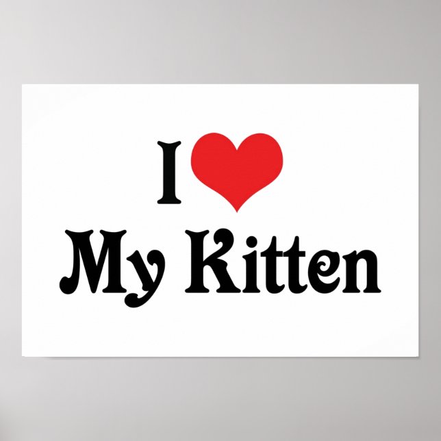 I Liebe My Kitten Poster (Vorne)