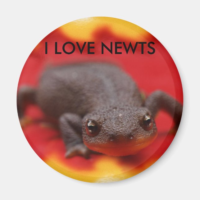 I Liebe Newts Magnet (Vorne)