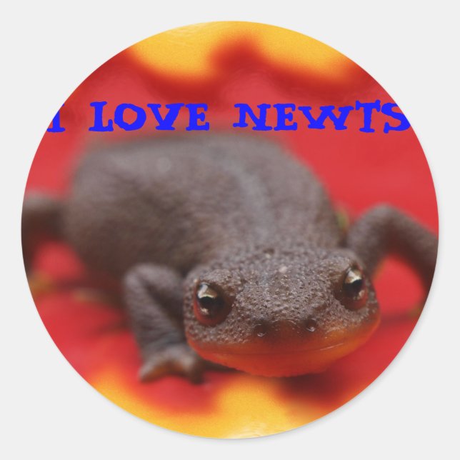 I Liebe Newts Runder Aufkleber (Vorderseite)