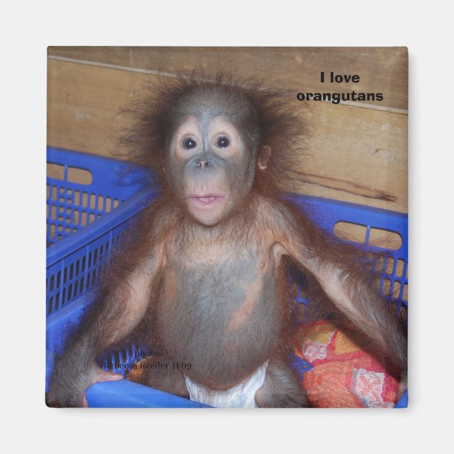 I Liebe Orang-Utans Magnet (Vorne)