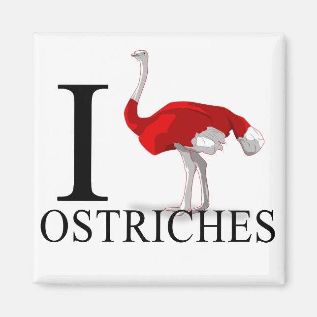 I Liebe Ostriches Magnete Magnet (Vorne)