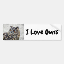 I Liebe Owls Autoaufkleber