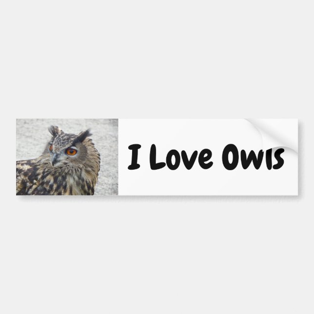 I Liebe Owls Autoaufkleber (Vorne)