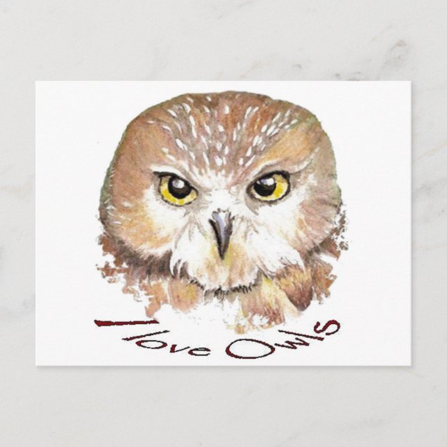 I Liebe Owls, Sau Whet Bird Postkarte (Vorderseite)