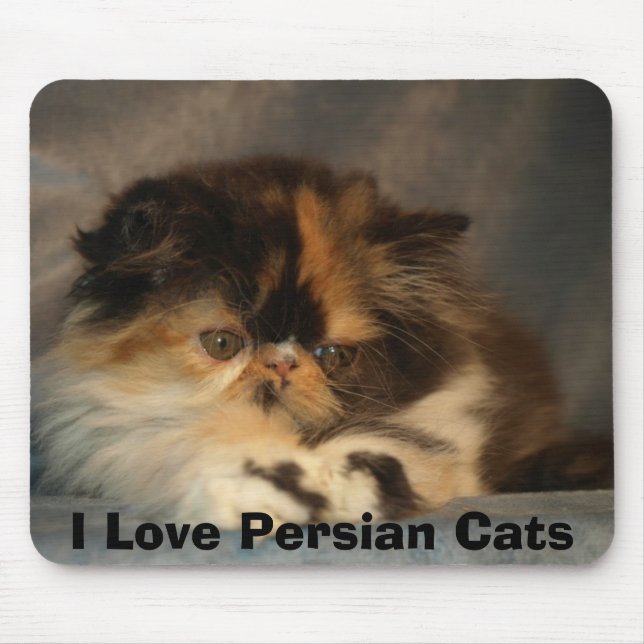 I Liebe-persische Katzen Mousepad (Vorne)