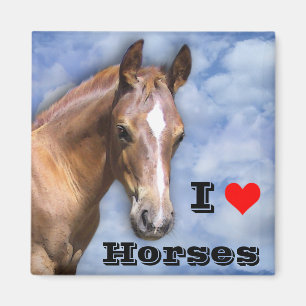 I Liebe Pferde 🐎 Magnet