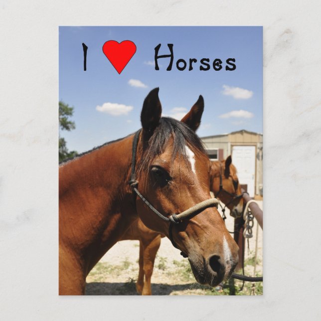 I Liebe Pferde Western Postkarte (Vorderseite)