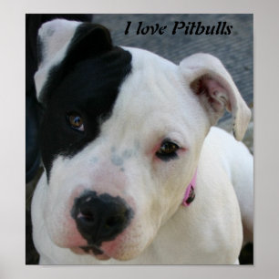 I Liebe Pitbulls Plakat