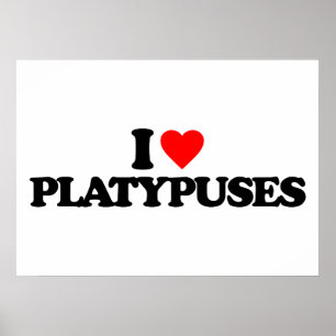 I LIEBE PLATYPUSTE POSTER
