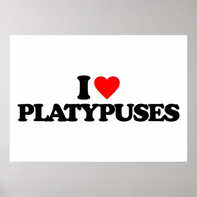 I LIEBE PLATYPUSTE POSTER (Vorne)
