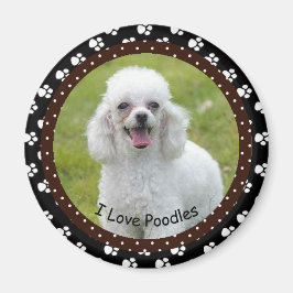 I Liebe Poodles Magnet