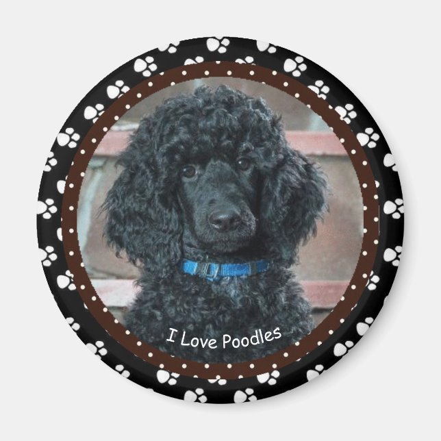 I Liebe Poodles Magnet (Vorne)