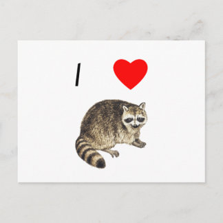 I Liebe Raccoons Postkarte