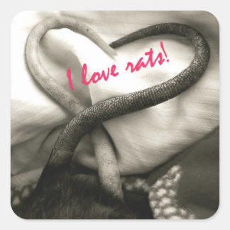 I LIEBE Rats Aufkleber
